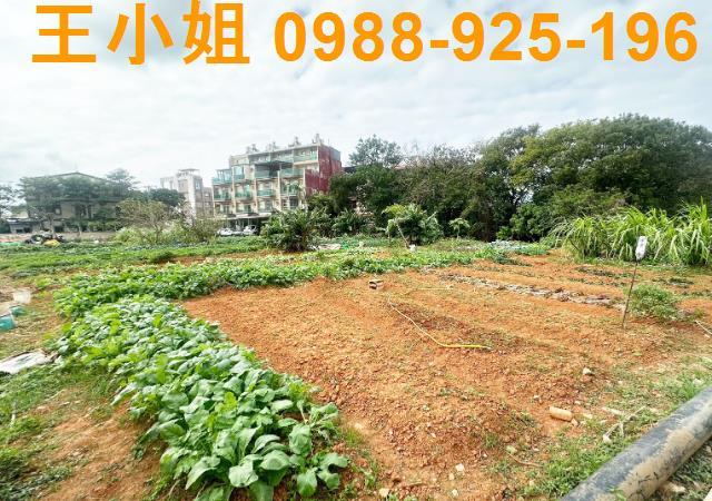 桃園中壢農地-0