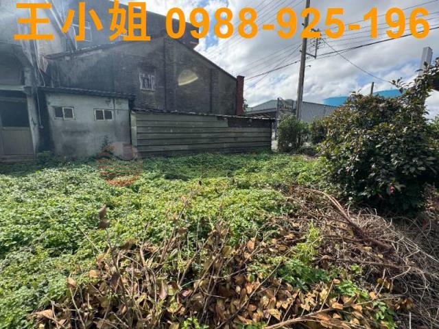 蘆竹建地-4