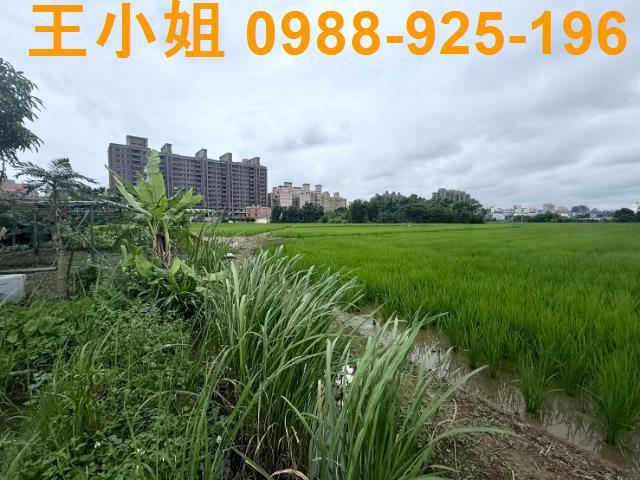 桃園桃園區農地-4