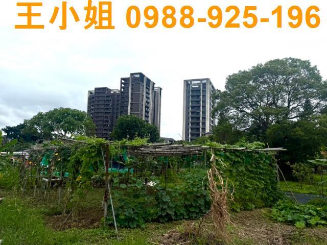 桃園桃園區農地-6