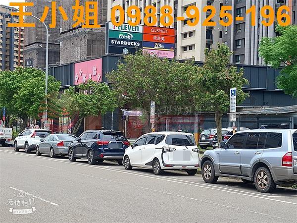 桃園建地-5