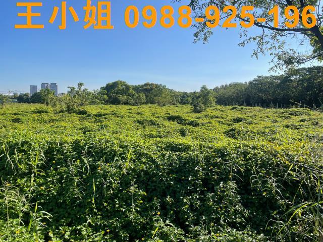 桃園中壢農地-1