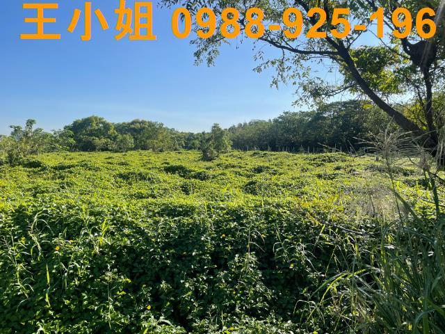 桃園中壢農地-2