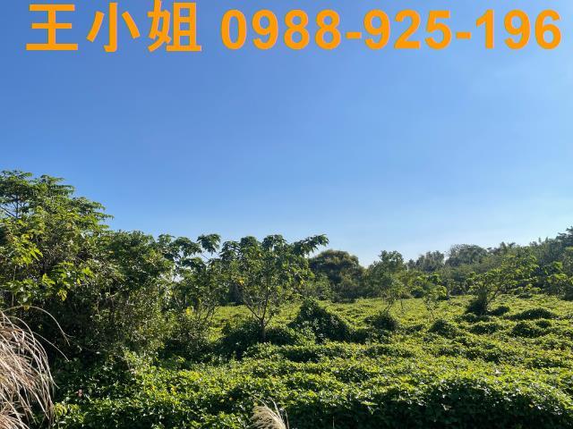 桃園中壢農地-3