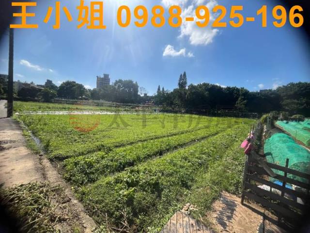 桃園中壢農地-9