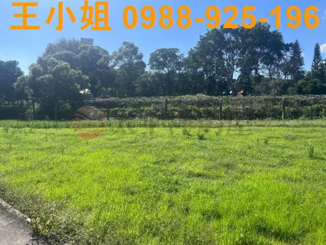 桃園中壢農地-6