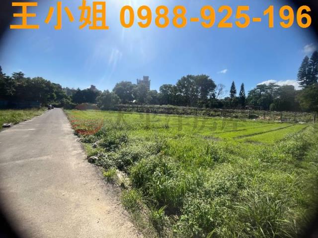 桃園中壢農地-7