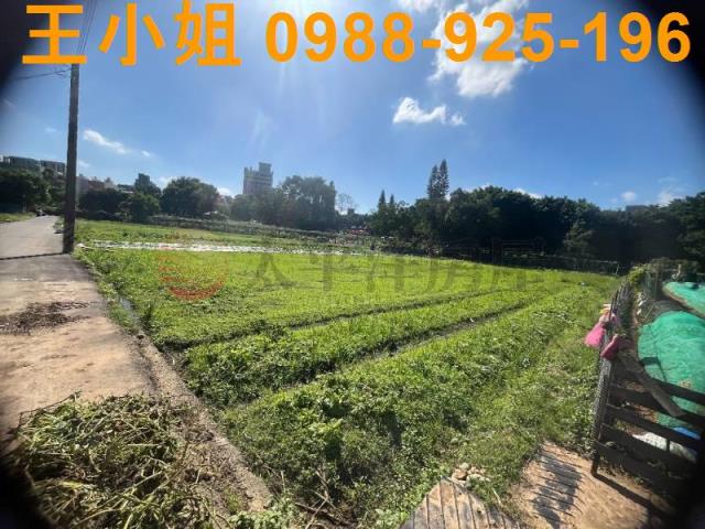 桃園中壢農地-8