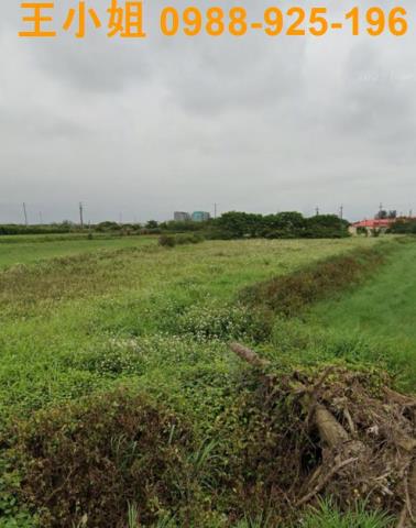 桃園觀音農地-0
