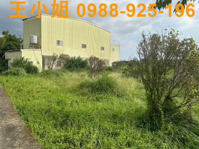 桃園觀音農地-4