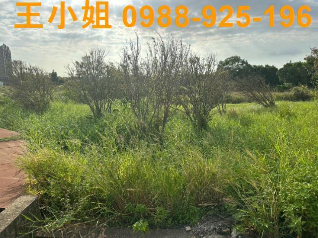 桃園觀音農地-6