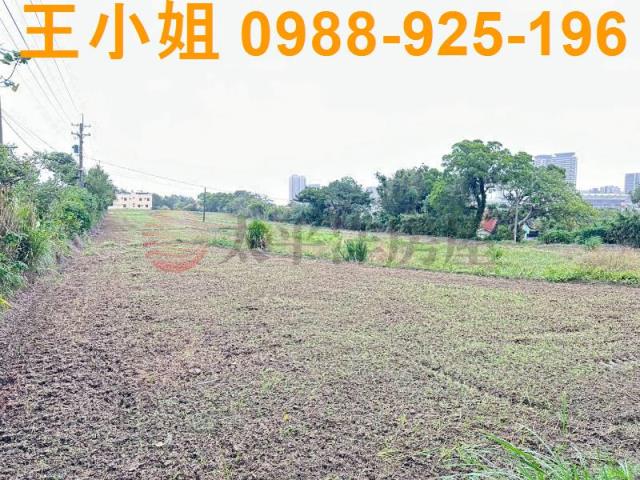 桃園中壢建地-11