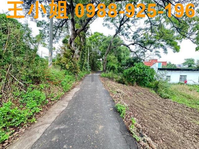 桃園中壢建地-0