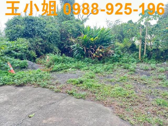 桃園中壢建地-7