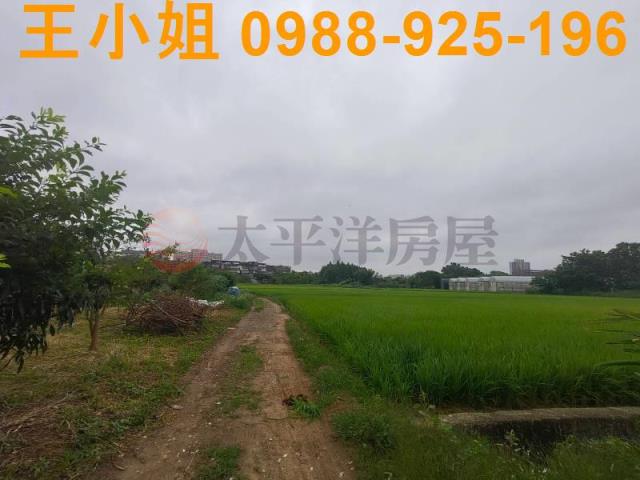桃園桃園區農地-12