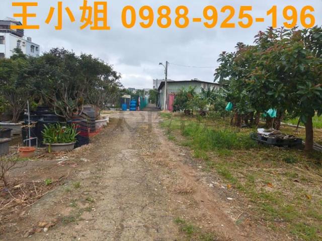 桃園桃園區農地-5