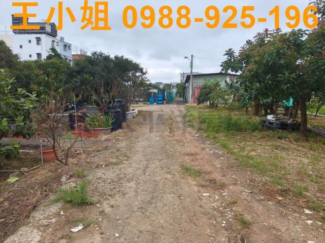 桃園桃園區農地-7