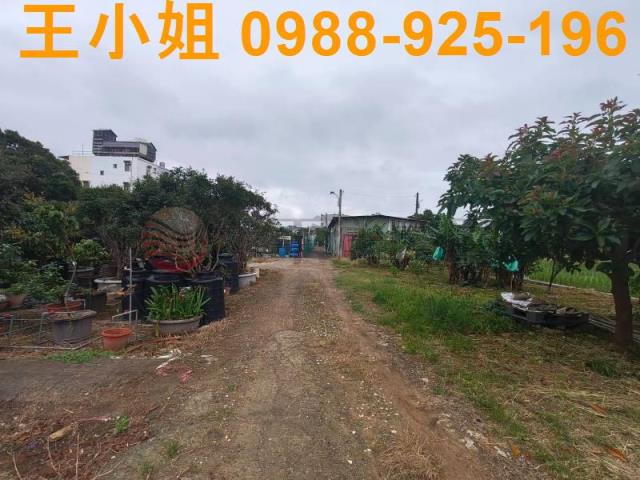 桃園桃園區農地-8