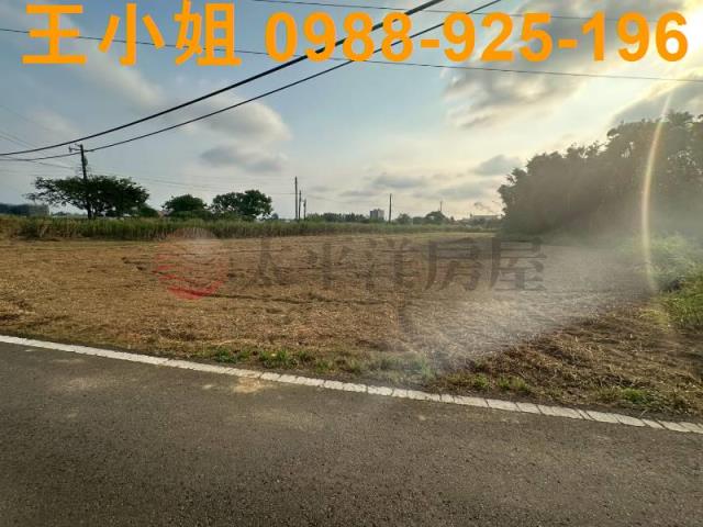 大園農地-2