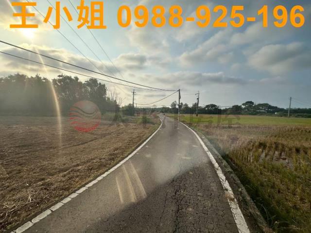 大園農地-5