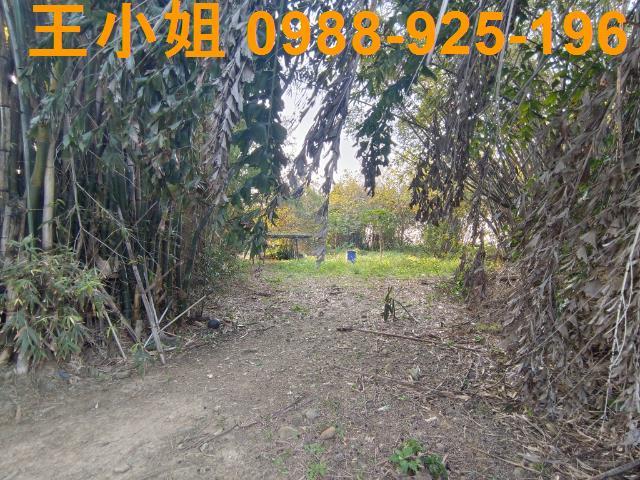 桃園桃園區農地-3