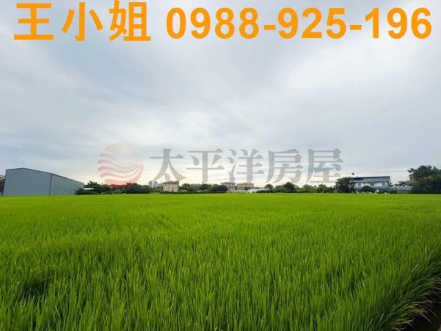 桃園中壢農地-1