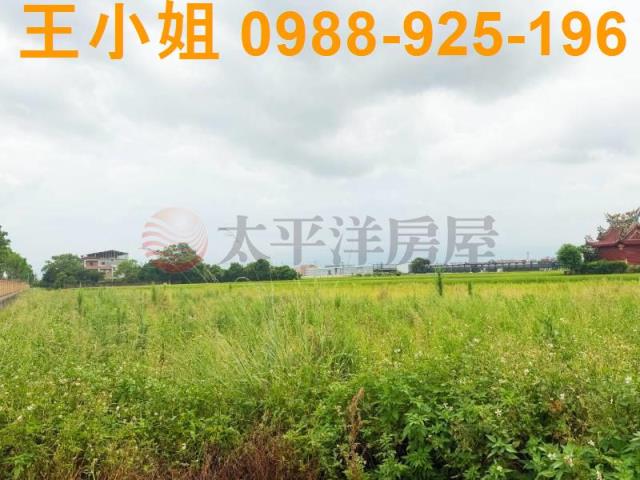 桃園中壢農地-4