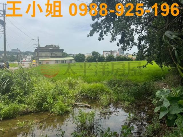 桃園楊梅農地-9