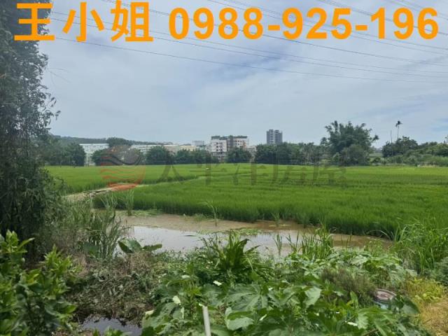 桃園楊梅農地-10