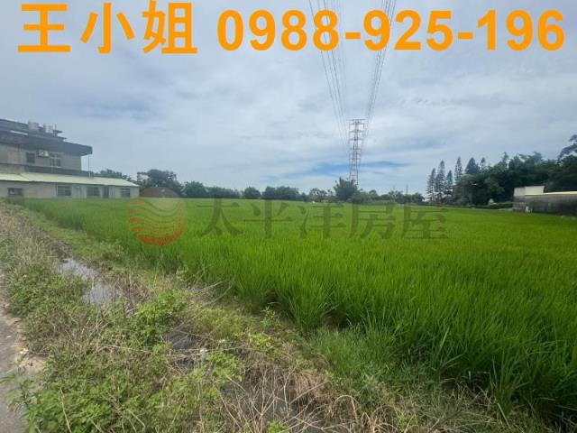桃園楊梅農地-12