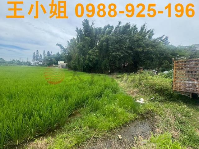 桃園楊梅農地-4