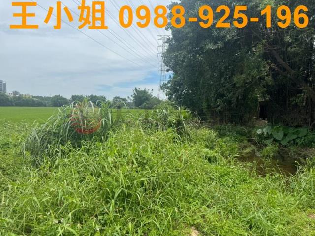 桃園楊梅農地-7
