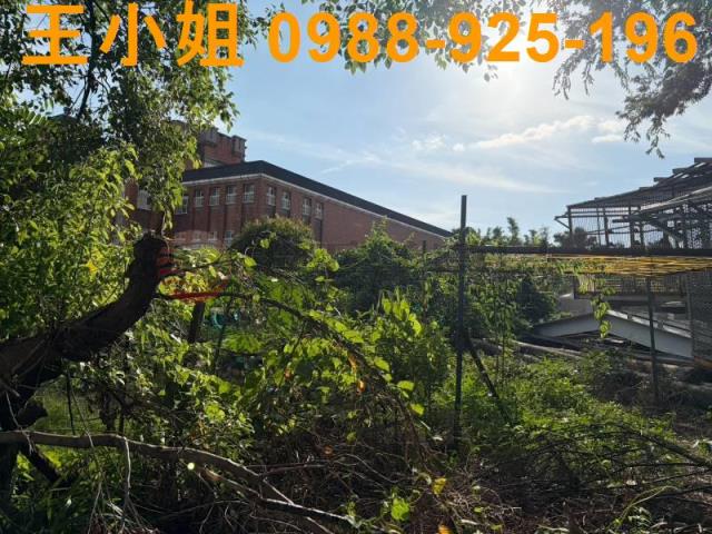 桃園八德農地-1