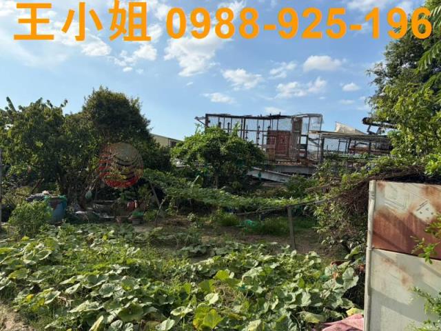 桃園八德農地-3