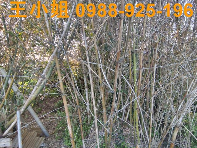 桃園桃園區農地-3