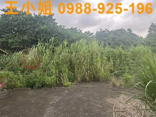 桃園建地-0