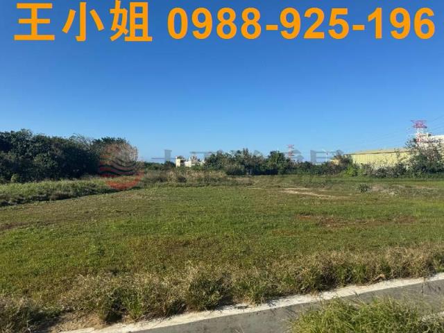 蘆竹農地-6