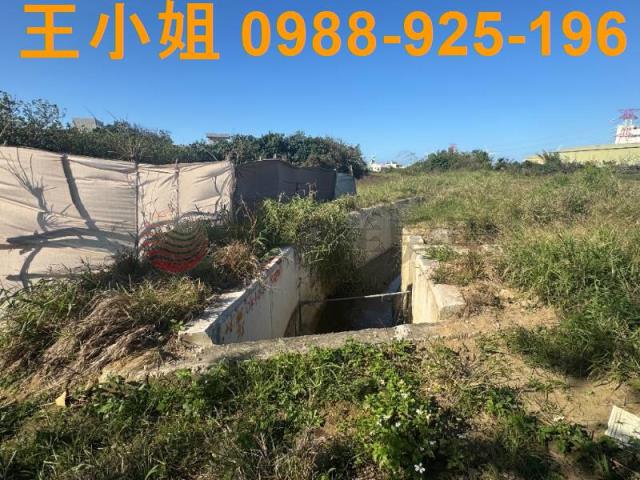 蘆竹農地-7