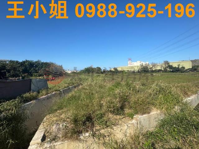 蘆竹農地-8