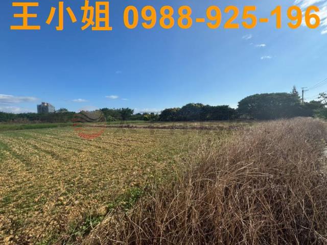 楊梅農地-10