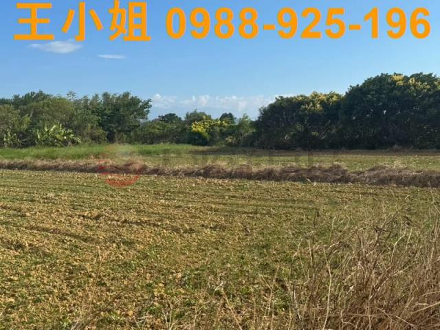 楊梅農地-11
