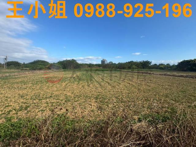 楊梅農地-12