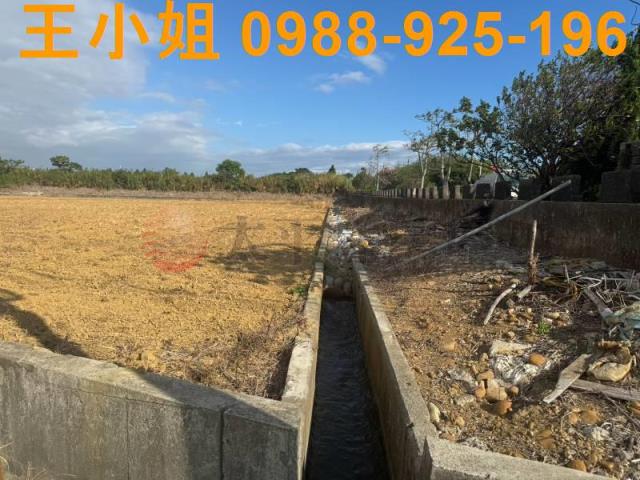 楊梅農地-6