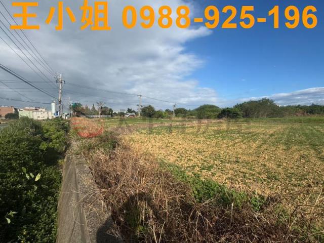 楊梅農地-7