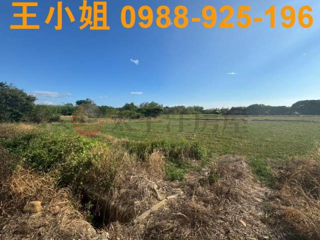 楊梅農地-8