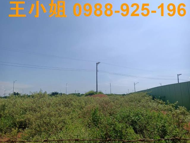 桃園建地-14