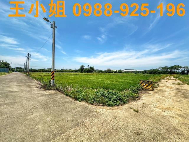 桃園農地-2