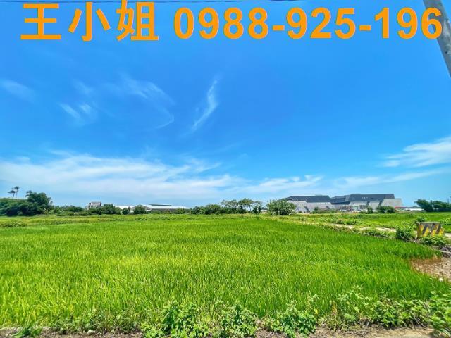 桃園農地-4