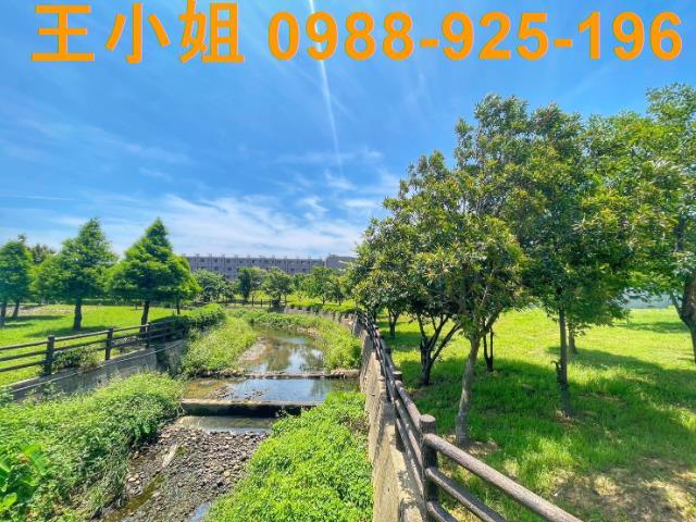桃園農地-5