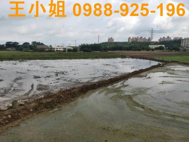 桃園農地-1
